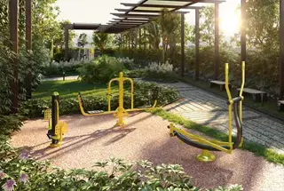 Jungle Gym
